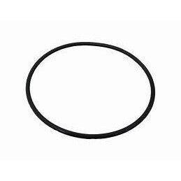 Strainer O-Ring